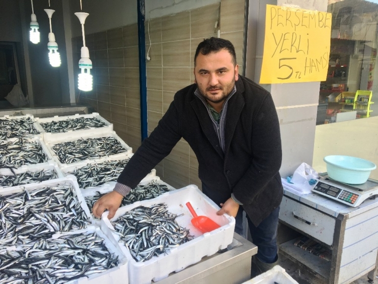Hamsinin Kilosu 5 Tl’ye İndi
