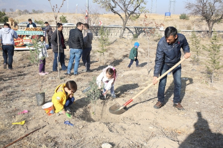 Ulaşım A.ş. 500 Fidanı Toprakla Buluşturdu
