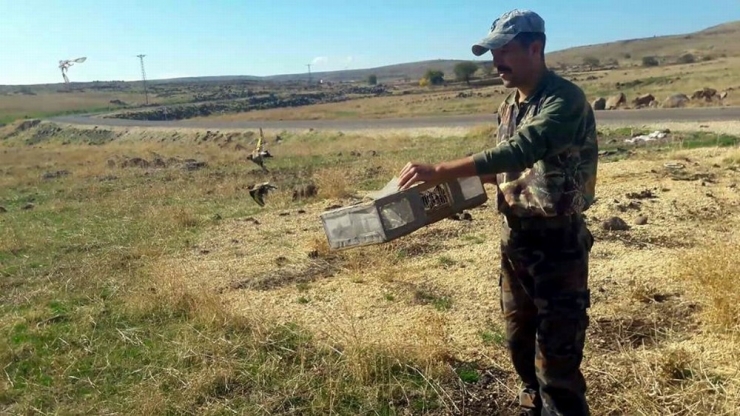 Avcılar, Suriyelilerin Yakaladığı Saka Kuşunu Doğaya Bıraktı