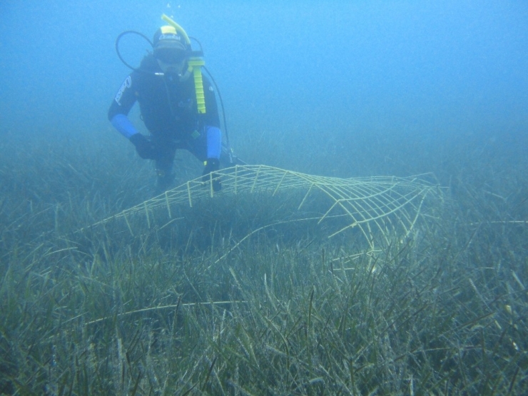 Çevreciler Yunus Parkının Kapatılması İçin Bakan Fakıbaba’ya Başvurdu