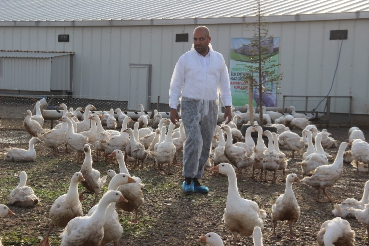 Erdoğan’ın Çağrısıyla Yatırımı Almanya Yerine Elazığ’a Yaptı