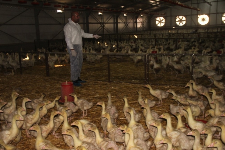 Erdoğan’ın Çağrısıyla Yatırımı Almanya Yerine Elazığ’a Yaptı