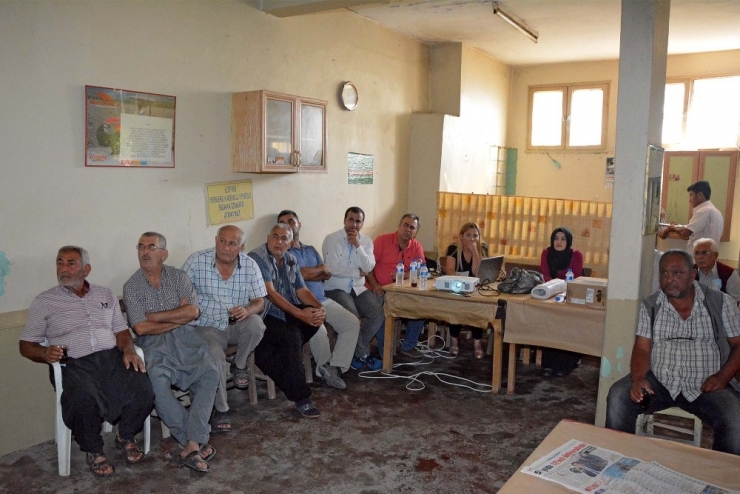 Bülbül: "Fazla Sulamayla Rekolte Artmaz"