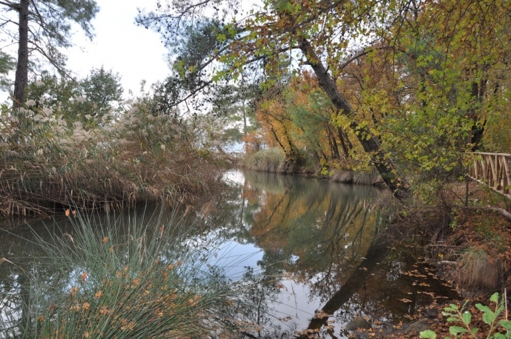 Günnücek Sonbaharda Başka Güzel