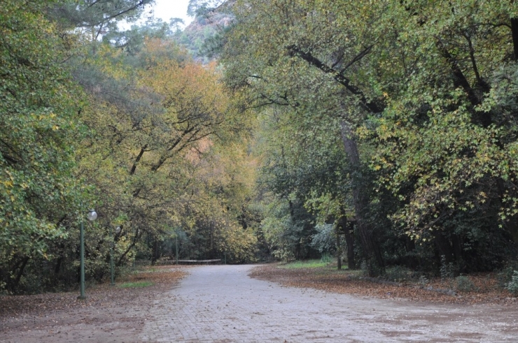 Günnücek Sonbaharda Başka Güzel