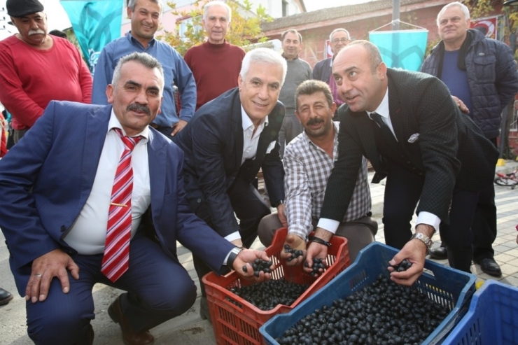 Nilüfer’de “Zeytin Buluşması”
