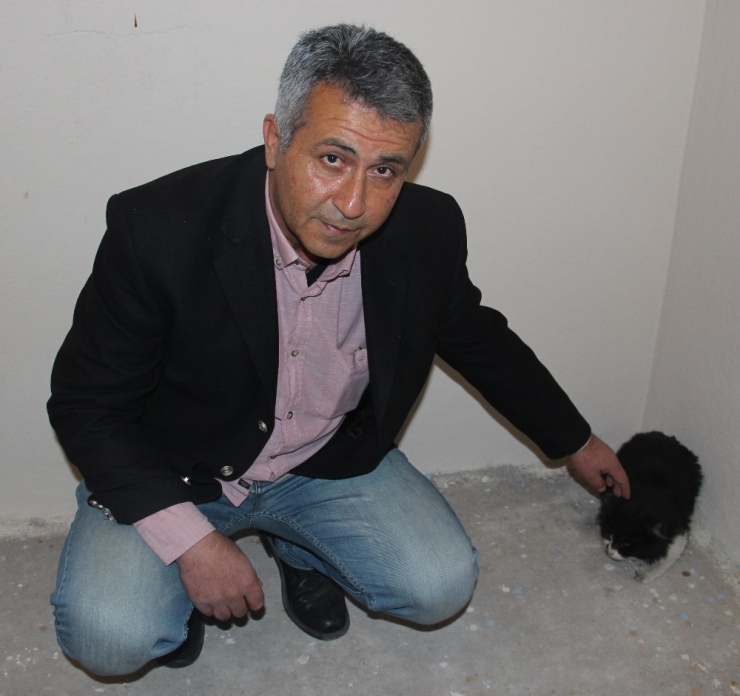 İplik Kediyi Ayağından Etti