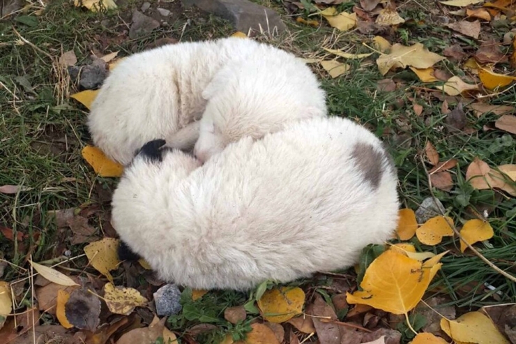 Kur’an Kursu Öğreticisinden Örnek Davranış
