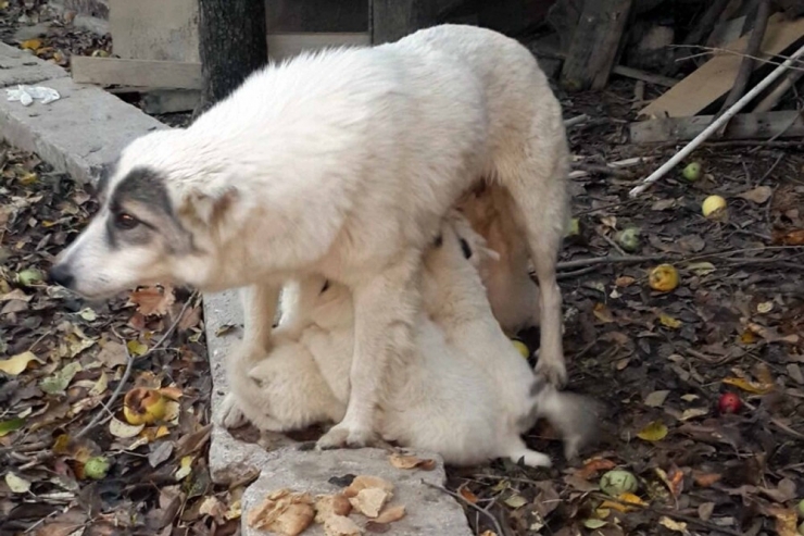 Kur’an Kursu Öğreticisinden Örnek Davranış