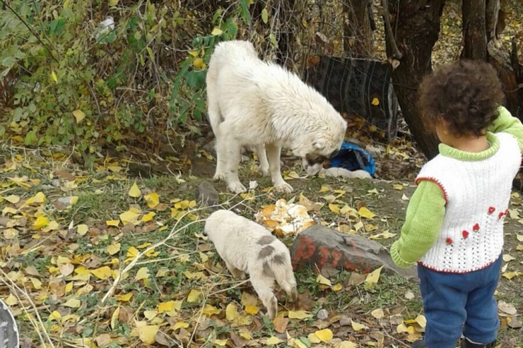 Kur’an Kursu Öğreticisinden Örnek Davranış