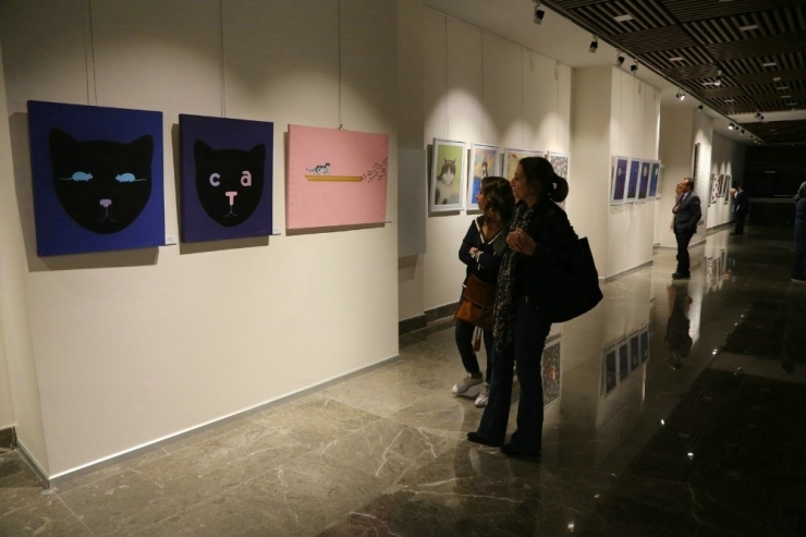 Benim Kedilerim Sergisinde Son Günler