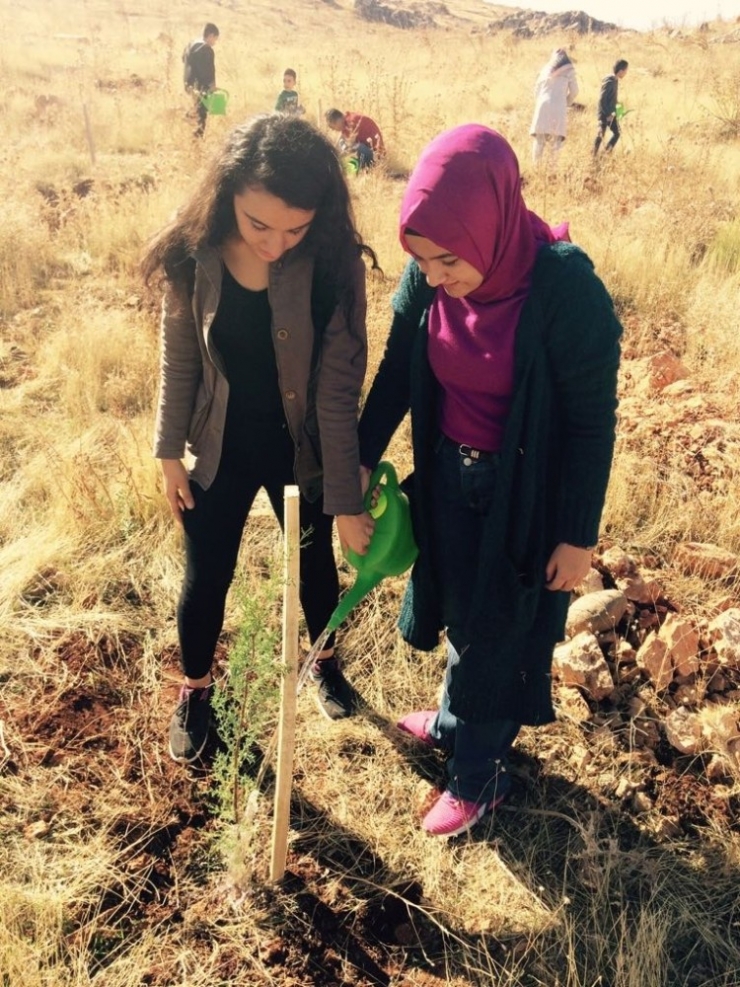 Diyabetli Çocuklar Fidan Dikti