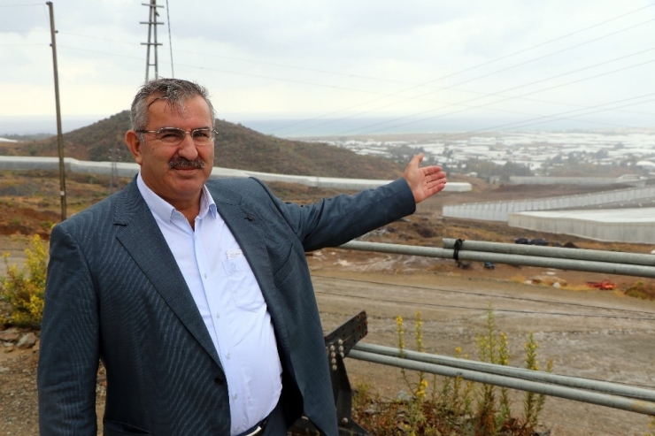 30 Milyonluk Dev Muz Serası