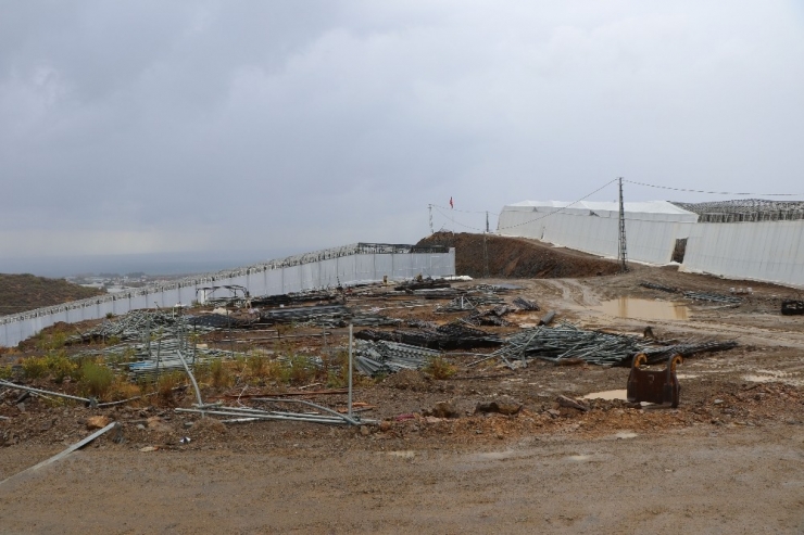 30 Milyonluk Dev Muz Serası