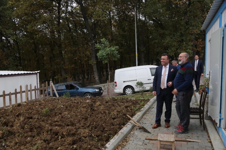 Doğayla İç İçe Hobi