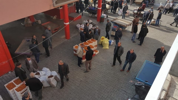 Kayısı Fiyatları Yükseldi Ama Üretici Kar Yapamadı