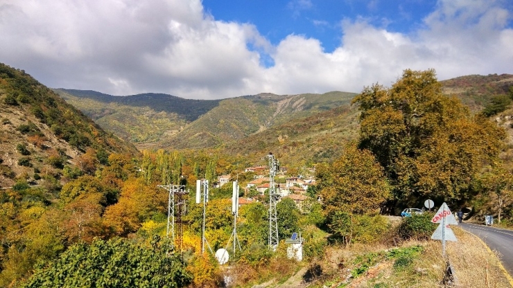 Ganos Ormanlarında Sonbahar