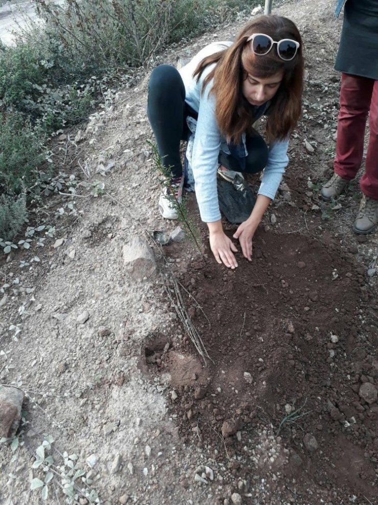 Körfezli Gençler Fidan Dikti