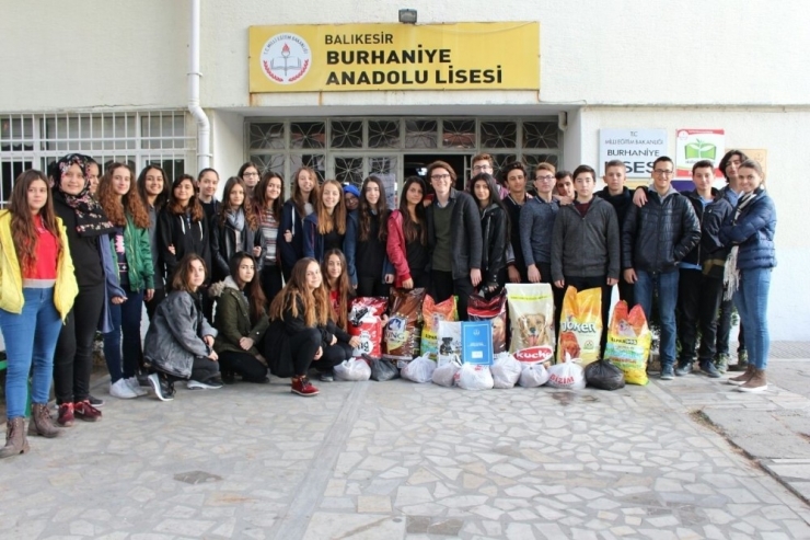 Burhaniye’de Liseliler Sokak Hayvanları İçin Mama Topladı