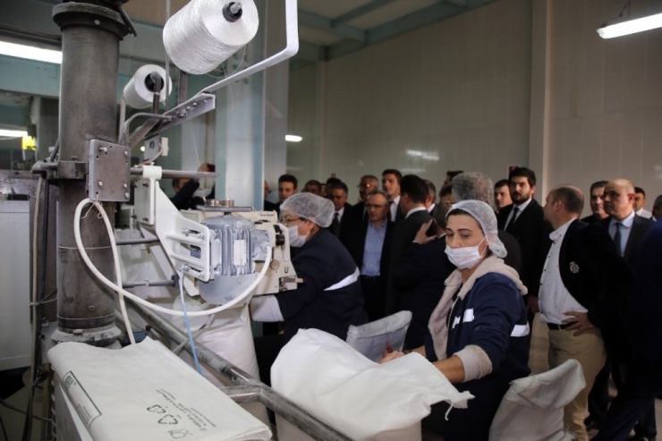 Maliye Bakanı Ağbal’dan Şeker Sanayisiyle İlgili Açıklama