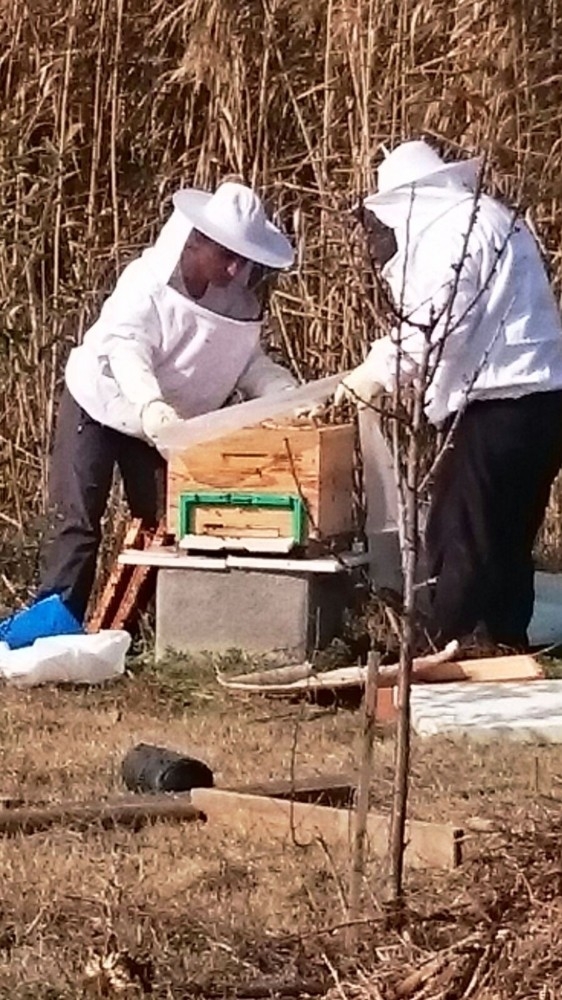 Kent Bostanları’nda Çiçek Balı Üretildi