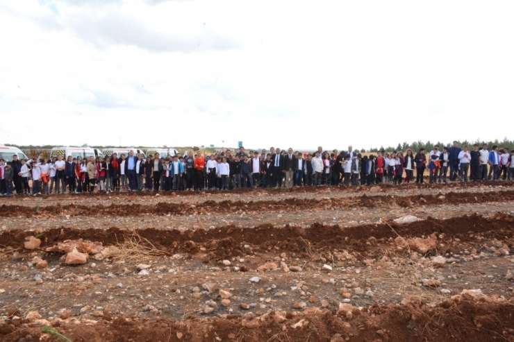 Ted’li Öğrencilerin Diktiği Fidanlar ‘Cumhuriyet Ormanı’ Olacak