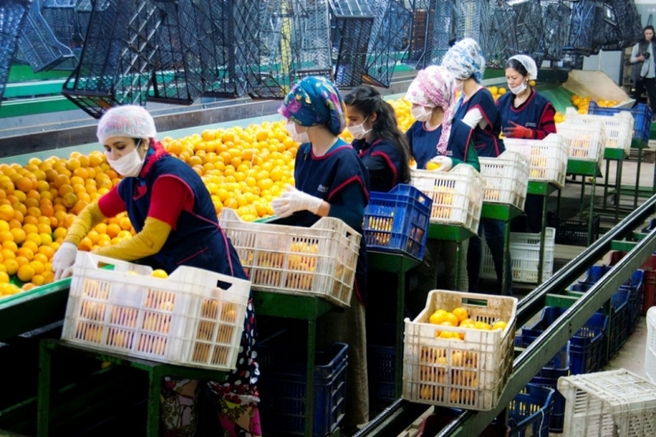 Aydın İthalatının Üç Katı İhracat Yaparak Rekor Kırdı