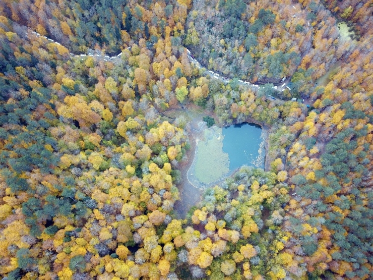 Yedigöller Sonbaharda Rengarenk