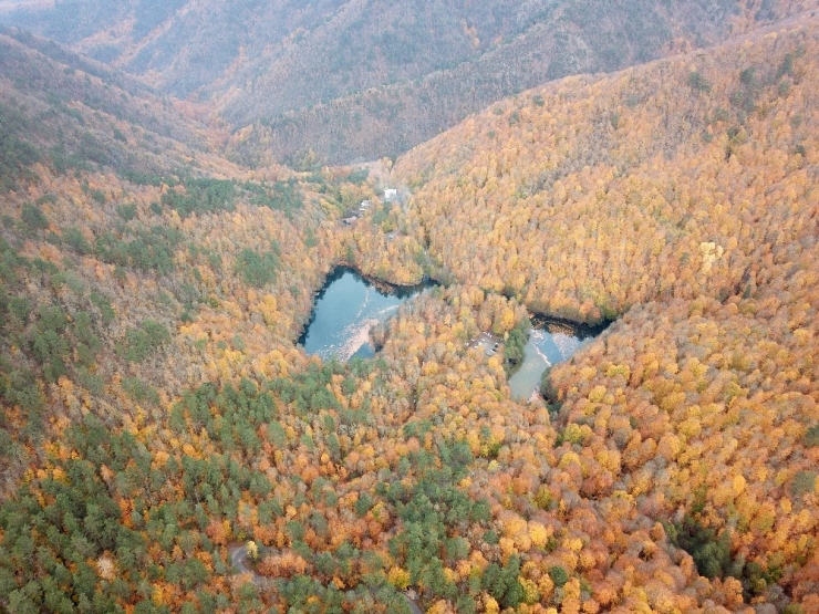 Yedigöller Sonbaharda Rengarenk