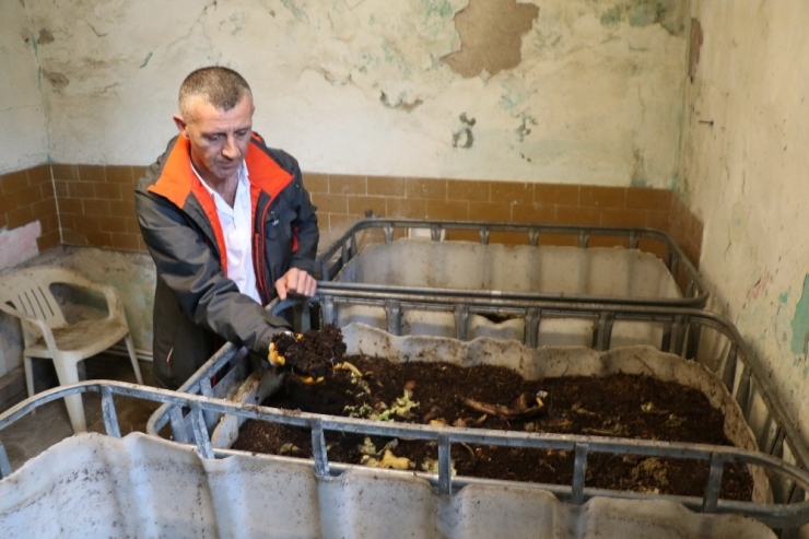 Hobi Olarak Başladığı Solucan Gübresi İşi Geçim Kaynağı Oldu