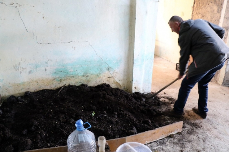 Hobi Olarak Başladığı Solucan Gübresi İşi Geçim Kaynağı Oldu