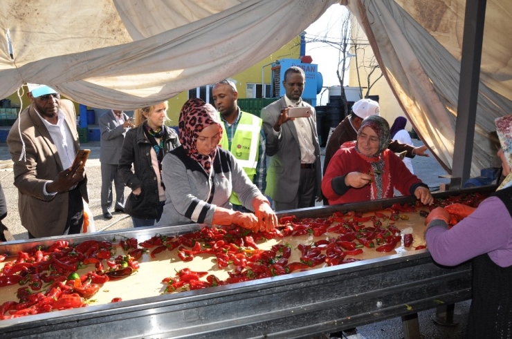 İnegöl’den Avrupa’ya 1 Milyon Dolarlık Salça İhracatı