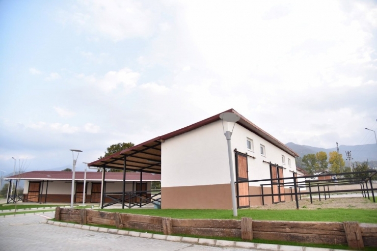 Atlı Terapi Merkezi Açılışa Hazırlanıyor