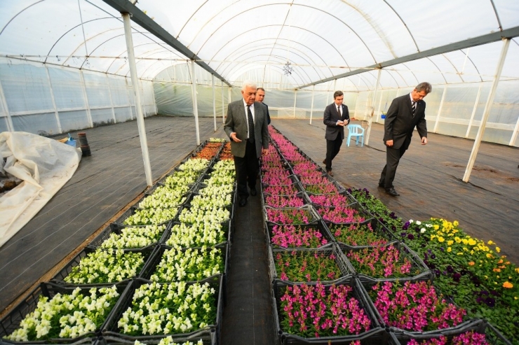 Muğla’nın Çiçeklerini Üreten Çiçekler