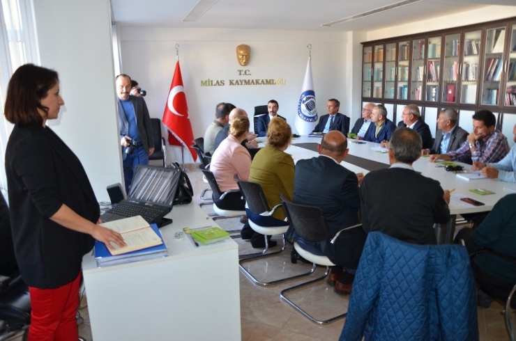 4. Milas Zeytin Hasat Şenliğine Son Şekli Verildi