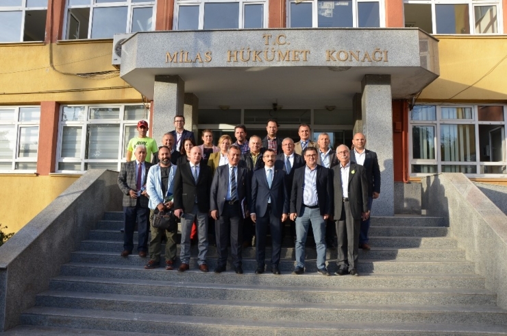 4. Milas Zeytin Hasat Şenliğine Son Şekli Verildi