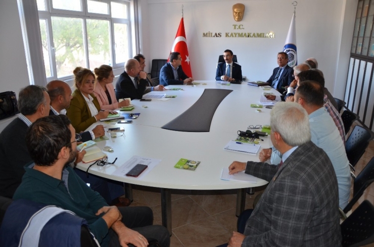 4. Milas Zeytin Hasat Şenliğine Son Şekli Verildi