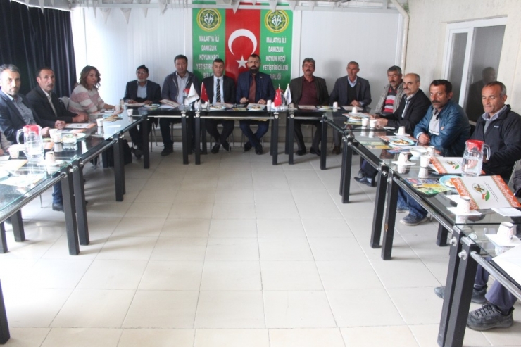 Koyun Ve Keçi Yetiştiricilerine Hibe Konusunda Bilgilendirme Yapıldı