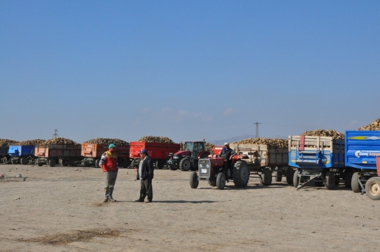 Pancar Üreticilerinin “Polar” Sıkıntısı