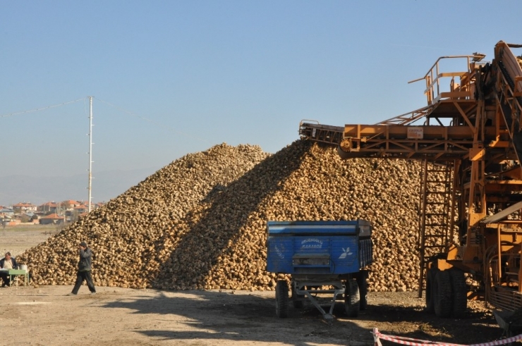 Pancar Üreticilerinin “Polar” Sıkıntısı