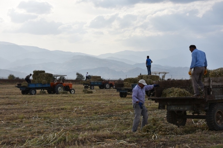 Alaşehir Belediyesinden Üreticiye 150 Ton Ücretsiz Yem Desteği