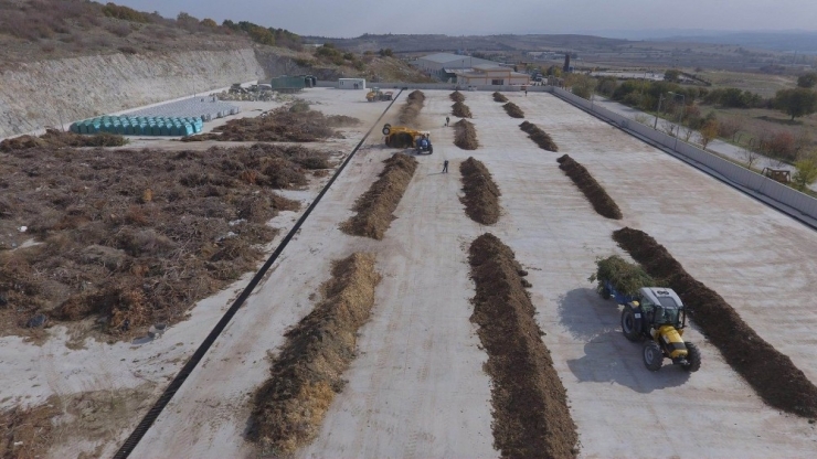 Budanan Dallardan Gübre Üretiliyor