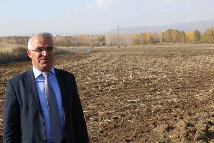 Bingöl Belediyesi Kendi Bitkisini Yetiştirecek