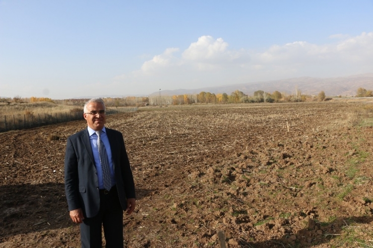 Bingöl Belediyesi Kendi Bitkisini Yetiştirecek