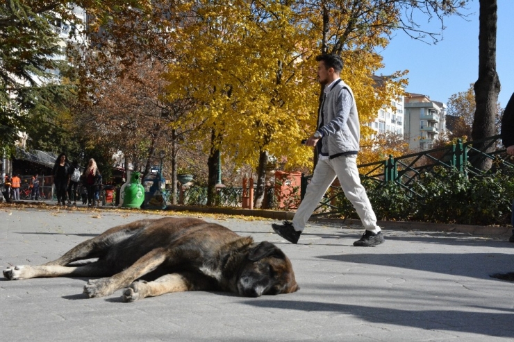 Sıcak Hava Eskişehirlileri Sokağa Döktü