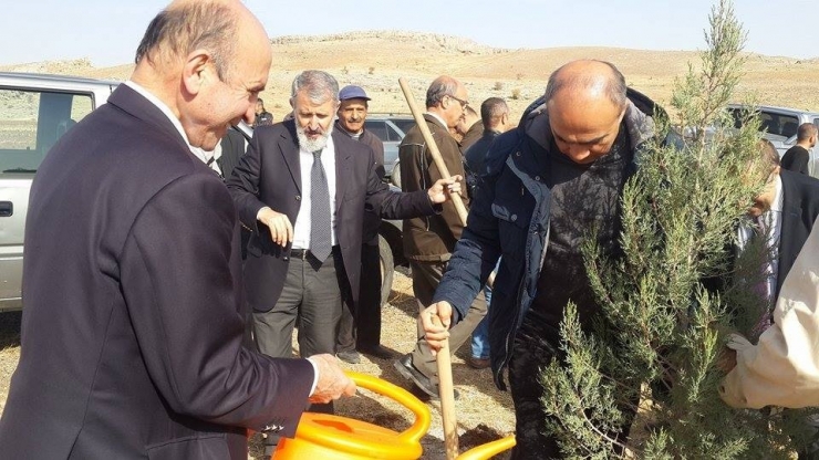 Arapgir’de 2 Bin Fidan Toprakla Buluştu