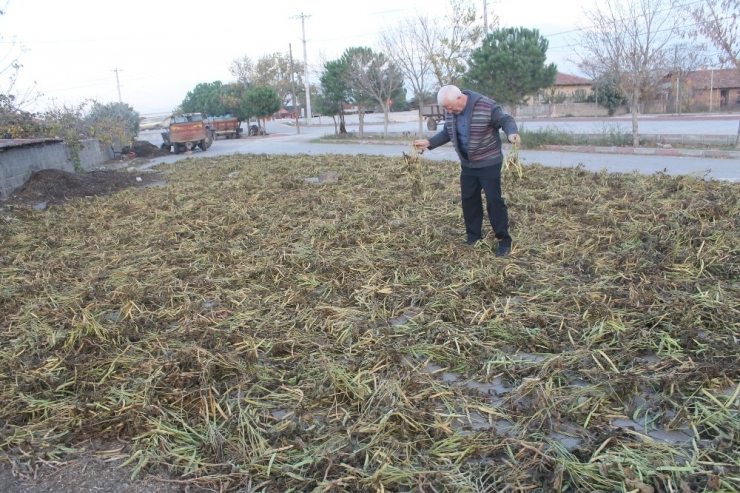 Ürünleri Sokaklarda Kurutuyorlar