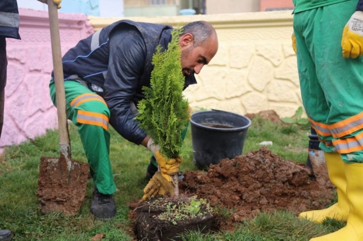 Yeşillendirme Çalışmaları Sürüyor