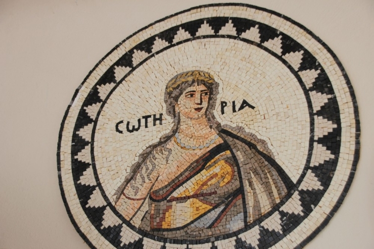 Stajda Öğretmediler Ama Vazgeçmedi