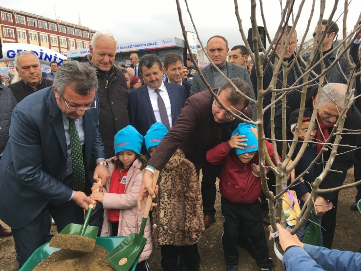 İstanbul’a Dev Meyve Ormanı